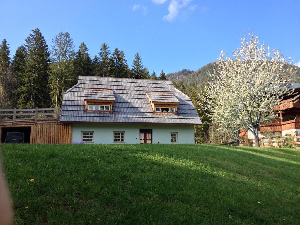 La Lince Lodge Camporosso  Zewnętrze zdjęcie